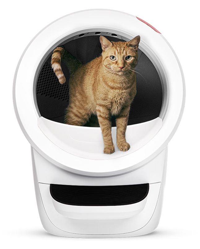 Smart Clean Cat Care System (2026)