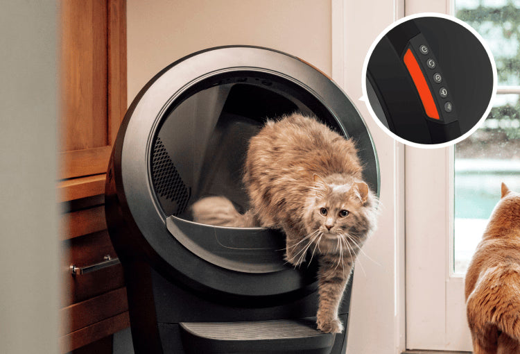 Smart Clean Cat Care System (2026)